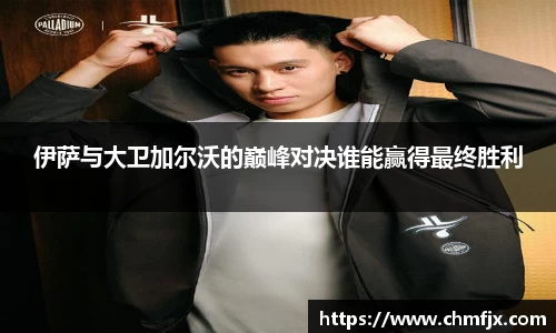 伊萨与大卫加尔沃的巅峰对决谁能赢得最终胜利